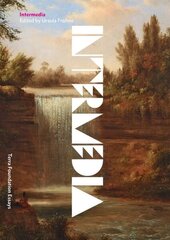 Intermedia: Volume 6, Volume 6 цена и информация | Книги об искусстве | kaup24.ee