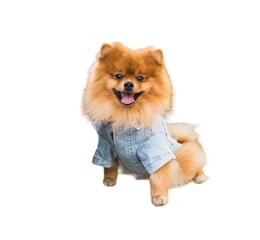 Amiplay t-särk koertele Denim, sinine, erinevad suurused цена и информация | Одежда для собак | kaup24.ee