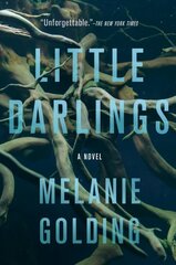 Little Darlings: A Novel цена и информация | Фантастика, фэнтези | kaup24.ee