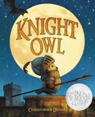 Knight Owl hind ja info | Noortekirjandus | kaup24.ee