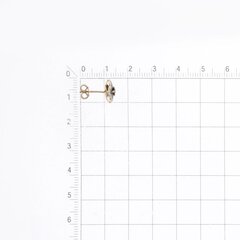 Золотые серьги с драгоценными камнями цена и информация | Серьги | kaup24.ee