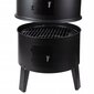 Smokehouse - söegrill 3in1 SmokeHouse GM8000 цена и информация | Grillid | kaup24.ee