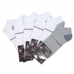Комплект мужских носков для спорта и отдыха 1232-1, 6 пар цена и информация | Meeste sokid | kaup24.ee