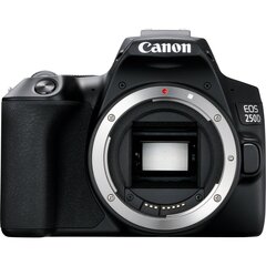 Canon EOS 250D + EF-S 10 - 18 мм IS STM цена и информация | Цифровые фотоаппараты | kaup24.ee