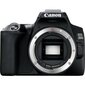Canon EOS 250D + EF-S 10-18mm IS STM hind ja info | Fotoaparaadid | kaup24.ee