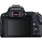 Canon EOS 250D + EF-S 10-18mm IS STM hind ja info | Fotoaparaadid | kaup24.ee