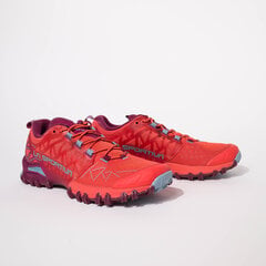 Meeste spordijalatsid La Sportiva Bushido II Gtx Red Plum hind ja info | Meeste kingad, saapad | kaup24.ee