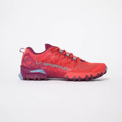 Meeste spordijalatsid La Sportiva Bushido II Gtx Red Plum hind ja info | Meeste kingad, saapad | kaup24.ee