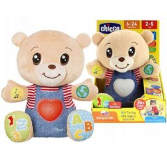 Arendav mänguasi Chicco Feeling Bear 79470 цена и информация | Развивающие игрушки | kaup24.ee