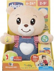 Arendav mänguasi Chicco Feeling Bear 79470 цена и информация | Развивающие игрушки | kaup24.ee