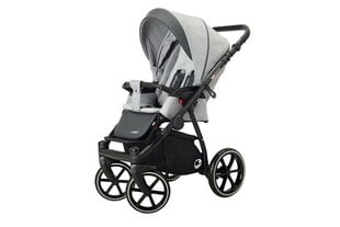 Sportlik jalutuskäru Lonex Sport Rose 01, Grey цена и информация | Коляски | kaup24.ee