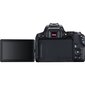 Canon EOS 250D + EF-S 18-55mm IS STM + EF-S 55-250mm IS STM цена и информация | Fotoaparaadid | kaup24.ee