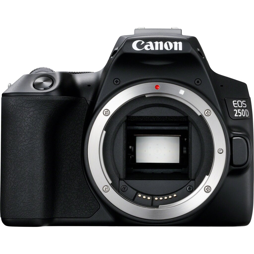 Canon EOS 250D + EF-S 18-55mm IS STM + EF-S 55-250mm IS STM цена и информация | Fotoaparaadid | kaup24.ee
