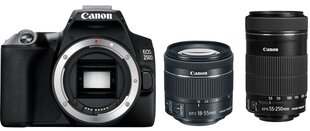 Canon EOS 250D + EF-S 18-55мм IS STM + EF-S 55-250мм IS STM цена и информация | Цифровые фотоаппараты | kaup24.ee