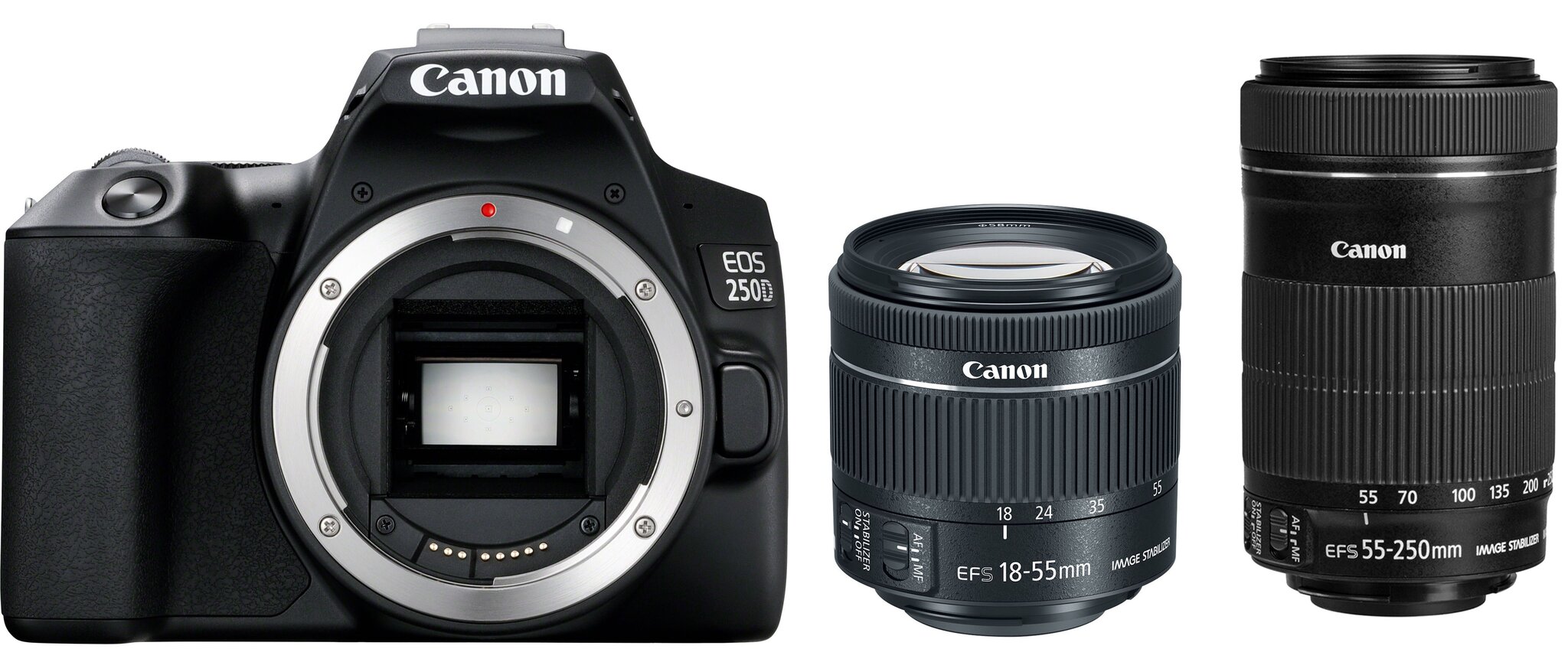 Canon EOS 250D + EF-S 18-55mm IS STM + EF-S 55-250mm IS STM цена и информация | Fotoaparaadid | kaup24.ee