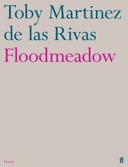 Floodmeadow Main цена и информация | Поэзия | kaup24.ee