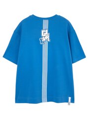T-särk Gulliver Blue 521000755 цена и информация | Рубашки для мальчиков | kaup24.ee
