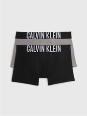 Meeste aluspesu Calvin Klein 2Pk Trunk 520882963 цена и информация | Нижнее белье для мальчиков | kaup24.ee