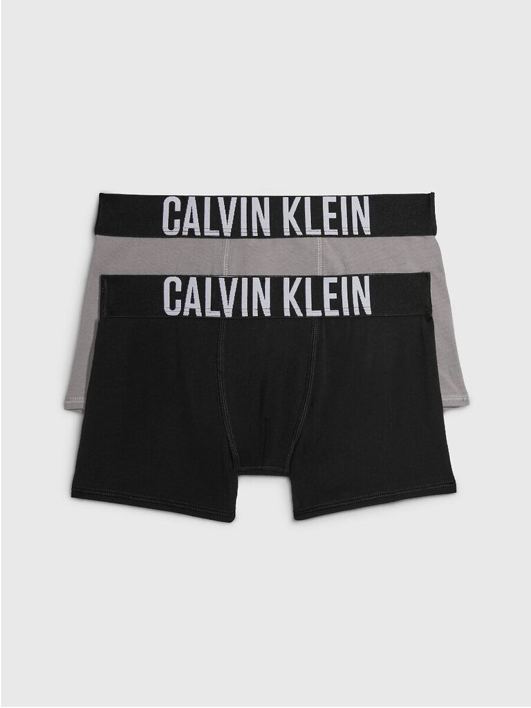 Meeste aluspesu Calvin Klein 2Pk Trunk 520882963 цена и информация | Poiste aluspesu | kaup24.ee