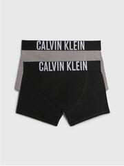 Meeste aluspesu Calvin Klein 2Pk Trunk 520882963 цена и информация | Нижнее белье для мальчиков | kaup24.ee