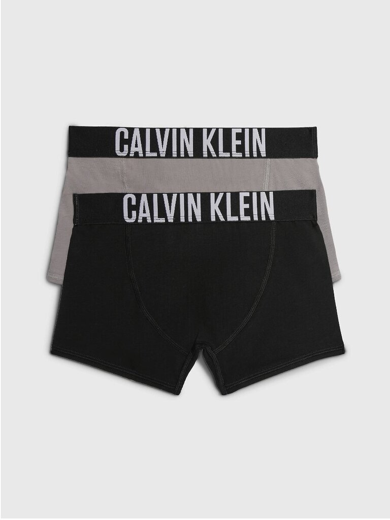 Meeste aluspesu Calvin Klein 2Pk Trunk 520882963 цена и информация | Poiste aluspesu | kaup24.ee