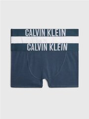 Meeste aluspesu Calivin Klein 2Pk Trunk 520882968 цена и информация | Нижнее белье для мальчиков | kaup24.ee