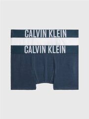 CALVIN KLEIN 2Pk Trunk 520882968 цена и информация | Нижнее белье для мальчиков | kaup24.ee