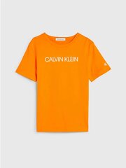 CALVIN KLEIN Institutional T-Shirt 520883095 цена и информация | Рубашки для мальчиков | kaup24.ee