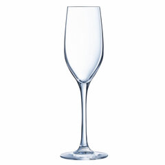 Šampanja klaas Chef & Sommelier Sequence Läbipaistev Klaas 6 Ühikut (17 cl) цена и информация | Стаканы, фужеры, кувшины | kaup24.ee