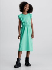 Kleit Calvin Klein Monogram Offplaced 520883077 hind ja info | Tüdrukute kleidid | kaup24.ee