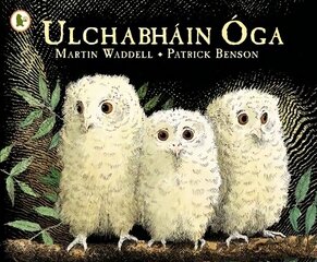 Ulchabhain Oga (Owl Babies) hind ja info | Väikelaste raamatud | kaup24.ee
