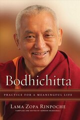 Bodhichitta: Practice for a Meaningful Life цена и информация | Духовная литература | kaup24.ee