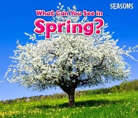 What Can You See In Spring? цена и информация | Книги для малышей | kaup24.ee