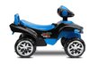 Pealeistutav auto Toyz MiniRaptor Navy цена и информация | Imikute mänguasjad | kaup24.ee