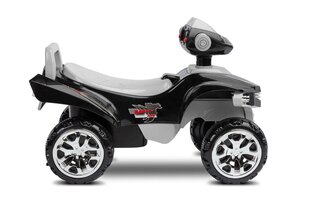 Pealeistutav auto Toyz MiniRaptor Grey hind ja info | Imikute mänguasjad | kaup24.ee