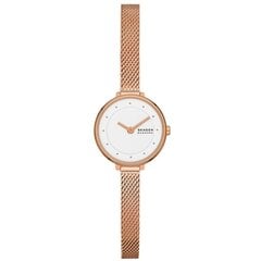 Женские часы Skagen GITTE LILLE (Ø 22 мм) цена и информация | Женские часы | kaup24.ee