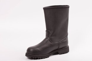 Ботинки рабочие Arnesima TR-1, черные цена и информация | Рабочая обувь 38 | kaup24.ee