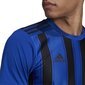 Jalgpallisärk Adidas STRIPED 21 JSY, sinine, M hind ja info | Jalgpalli varustus ja riided | kaup24.ee