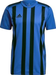 Jalgpallisärk Adidas STRIPED 21 JSY, sinine, M hind ja info | Jalgpalli varustus ja riided | kaup24.ee