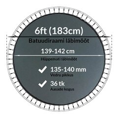 Batuudi hüppematt Active24 6ft, 183cm, 6-36/138 цена и информация | Батуты | kaup24.ee