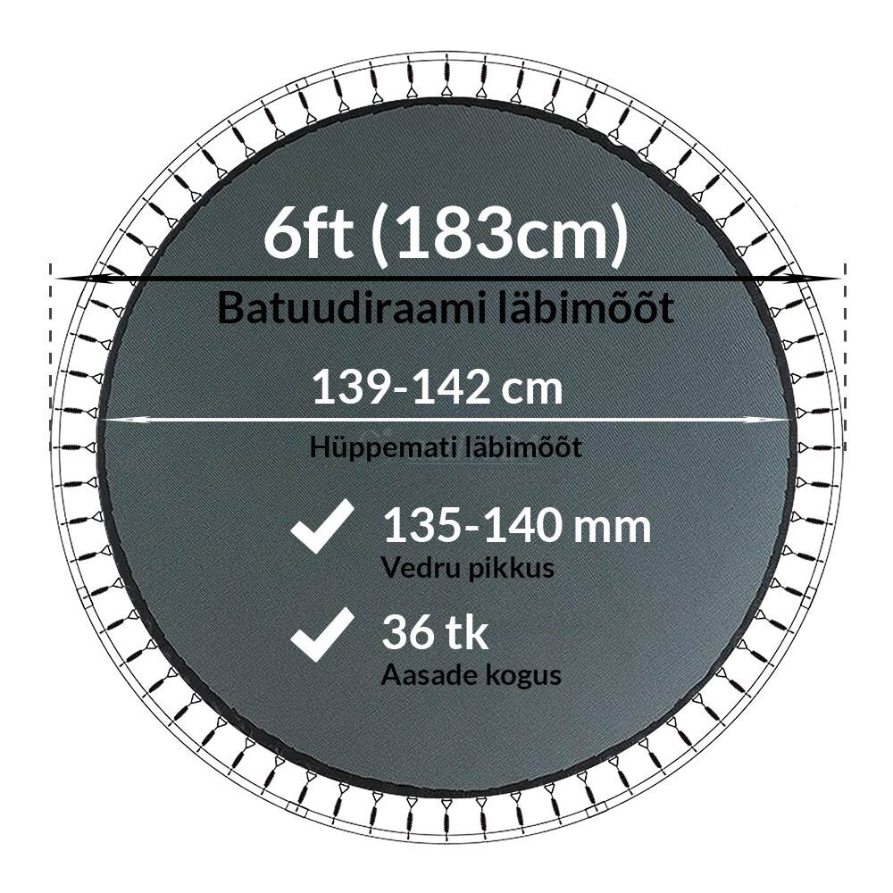 Batuudi hüppematt Active24 6ft, 183cm, 6-36/138 цена и информация | Batuudid ja batuudi varuosad | kaup24.ee