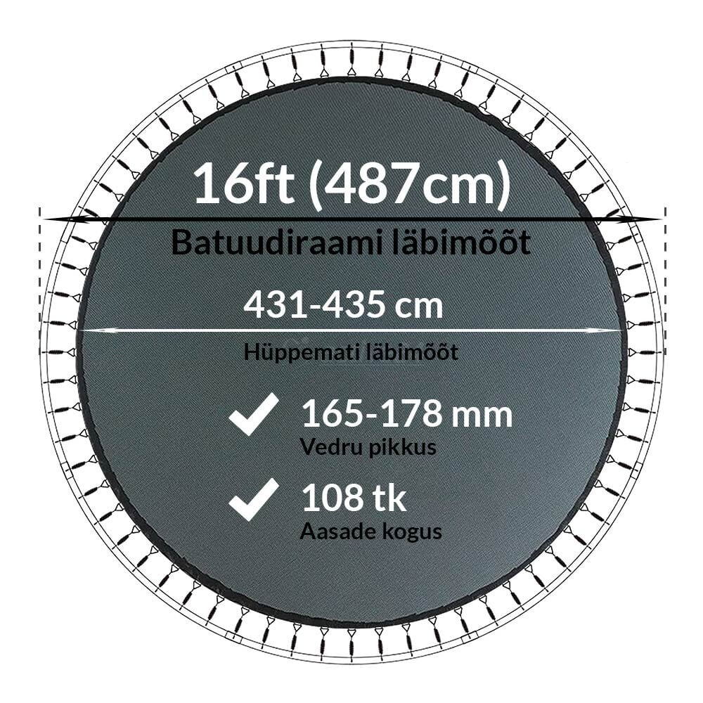 Batuudi hüppematt Active24 16ft, 487cm, 16-108/178 hind ja info | Batuudid ja batuudi varuosad | kaup24.ee