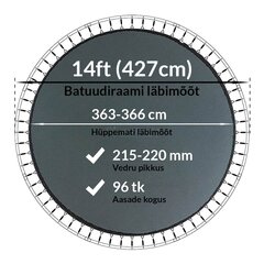 Batuudi hüppematt Active24 14ft, 427cm, 14-96/215 цена и информация | Батуты | kaup24.ee