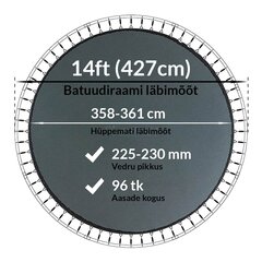 Batuudi hüppematt Active24 14ft, 427cm, 14-96/230 цена и информация | Батуты | kaup24.ee