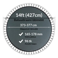Batuudi hüppematt Active24 14ft, 427cm, 14-96/178 цена и информация | Батуты | kaup24.ee