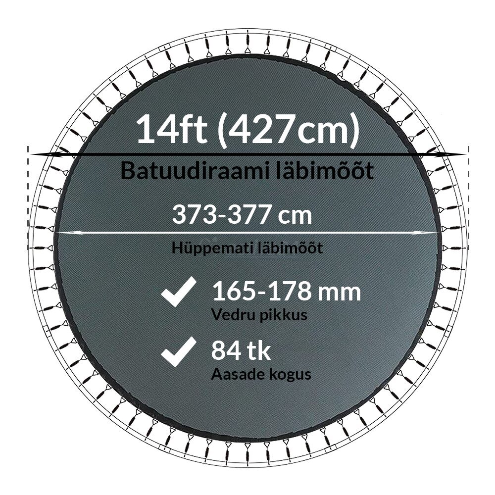 Batuudi hüppematt Active24 14ft, 427cm, 14-84/178 hind ja info | Batuudid ja batuudi varuosad | kaup24.ee