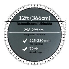 Batuudi hüppematt Active24 12ft, 366cm, 12-72/230 цена и информация | Батуты | kaup24.ee