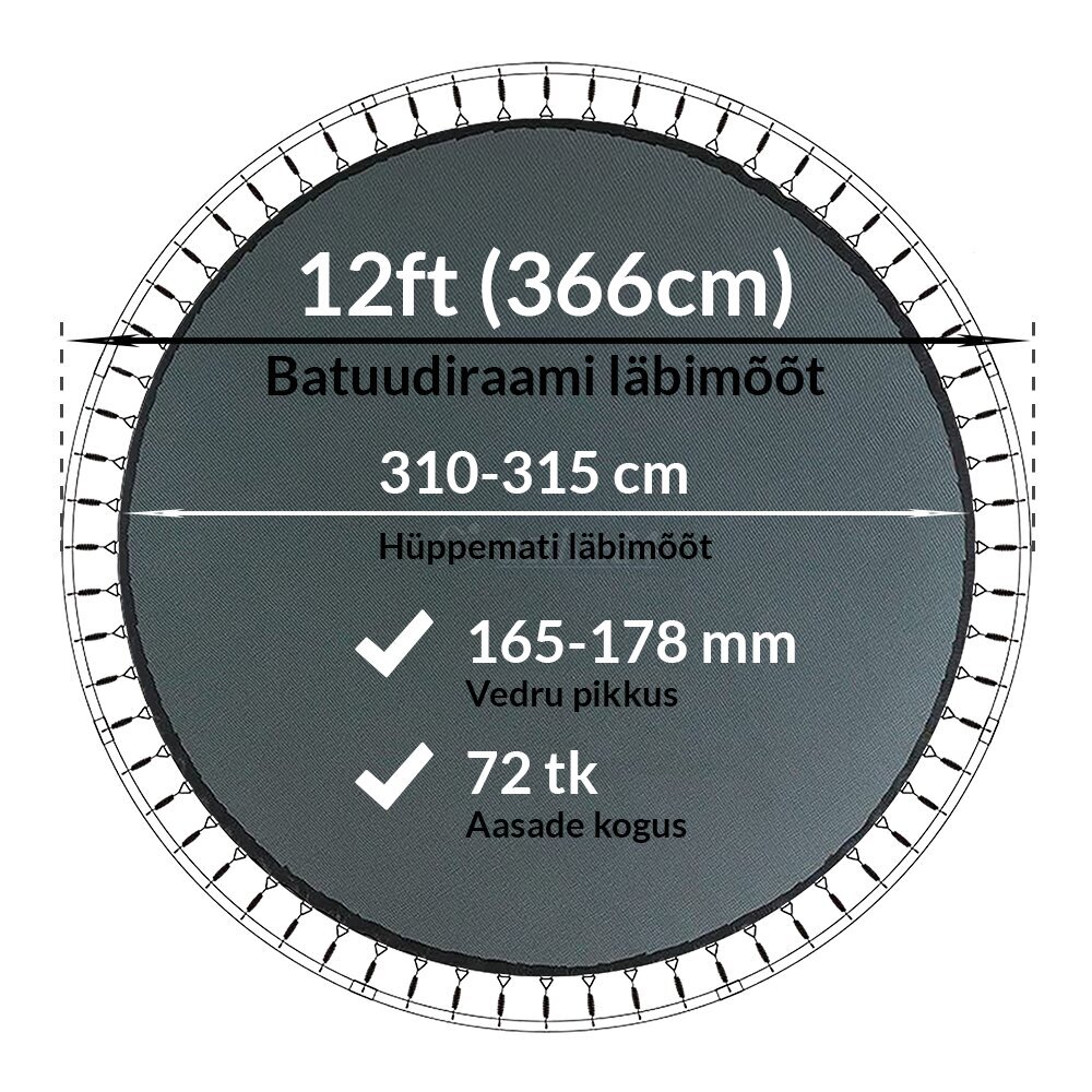 Batuudi hüppematt Active24 12ft, 366cm, 12-72/178 цена и информация | Batuudid ja batuudi varuosad | kaup24.ee