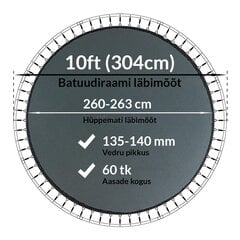 Batuudi hüppematt Active24 10ft, 304cm, 10-60/138 цена и информация | Батуты | kaup24.ee