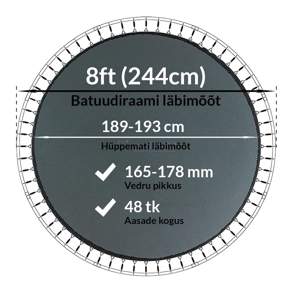 Batuudi hüppematt Active24 8ft, 244cm, 8-48/178 hind ja info | Batuudid ja batuudi varuosad | kaup24.ee